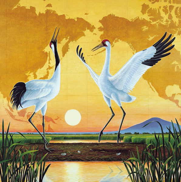陳維滄 攝影集 鶴采 Kaleidoscope of Cranes dancing-cranes-ap – frame of mind mt