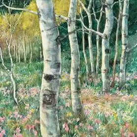 Glacier Aspens