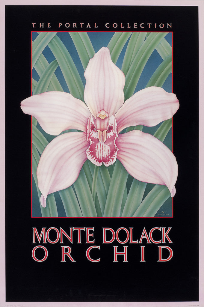Orchid - Note Card