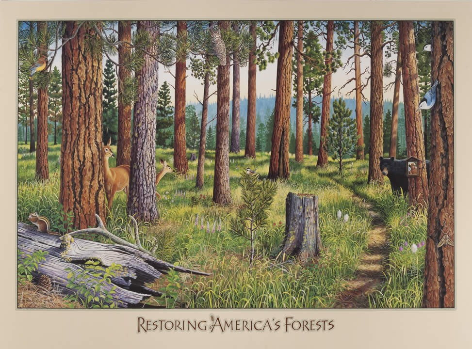 Restoring America's Forests - Large - Signed