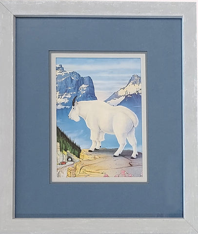 Framed Glacier Park Goat Notecard