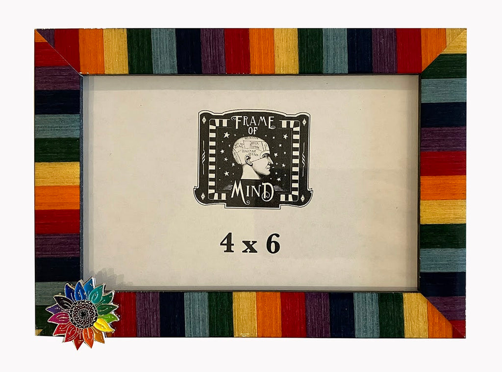 4x6 Flower Rainbow Frame