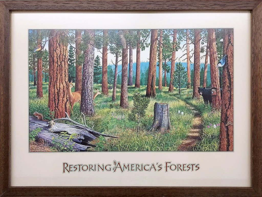 Framed Restoring America's Forests - Small