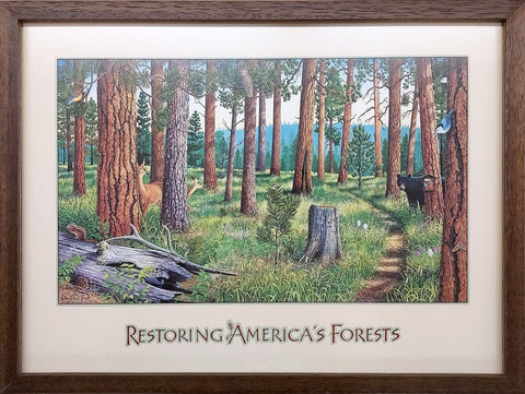 Framed Restoring America's Forests - Small