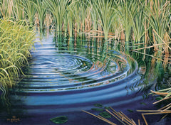 Ripple