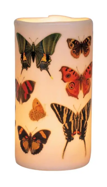 Butterfly Transforming Tea Light Holder