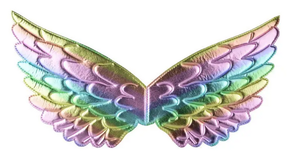 Colorful Fairy Wings - Deep Color or Light Color