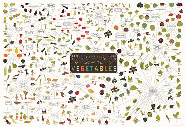 The Various Varieties of Vegetables