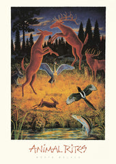 Animal Rites - Signed