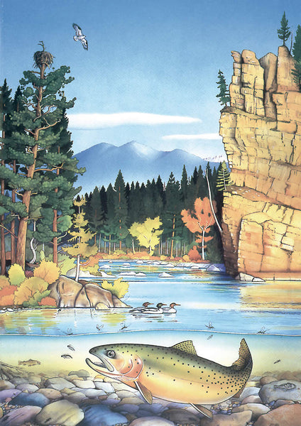 Framed Blackfoot River Notecard