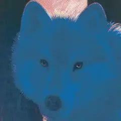 Blue Wolf - Note card