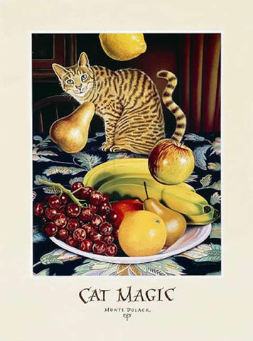 Cat Magic