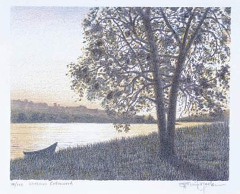 Cottonwood on the Missouri