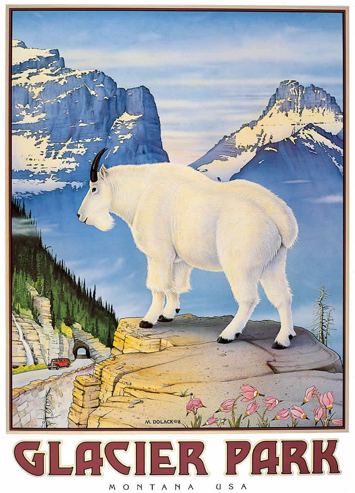 Glacier Park Goat - Note card