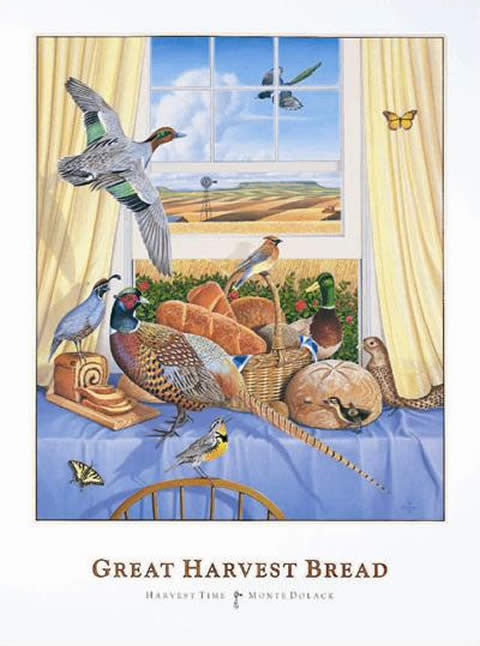 Harvest Time - Great Harvest Bread - Note card