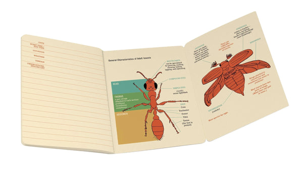 Insect (Entomology) Notebook