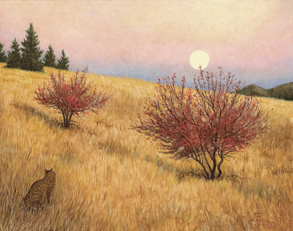 Framed Mount Jumbo Moonrise