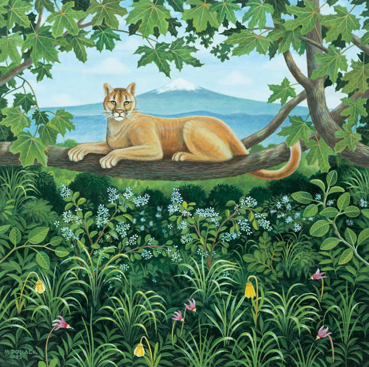 Mountain Lion - Note card