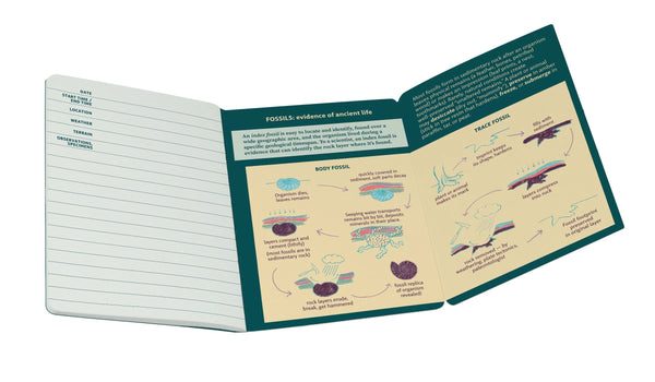 Paleontology Notebook