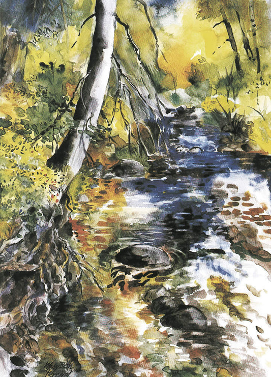 Rattlesnake Creek 1991 - Note card