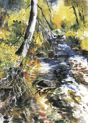 Rattlesnake Creek