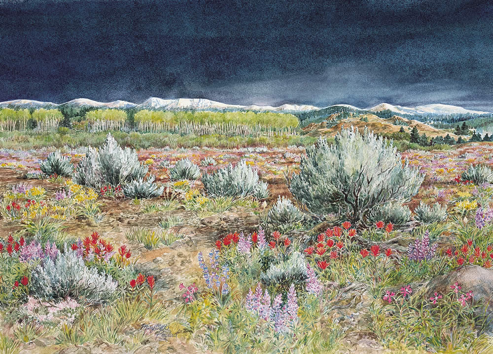 Sagebrush Country - Note card