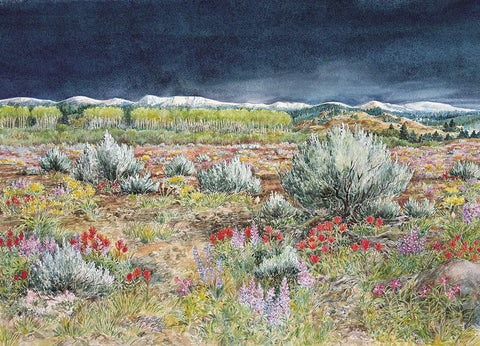 Sagebrush Country