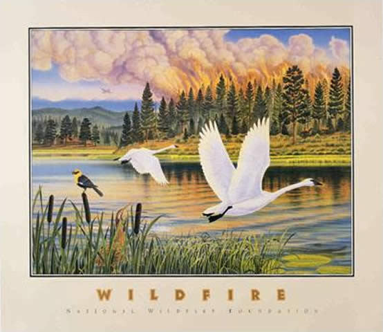 Wildfire - Note card