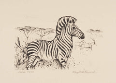 Zebra Run