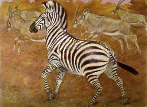 Zebra Run- Note card