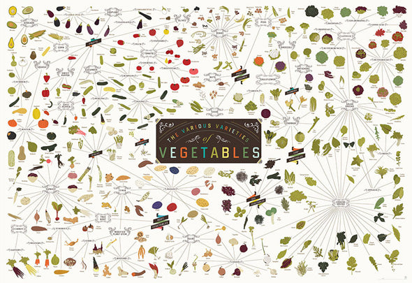 the various varieties of vegetables