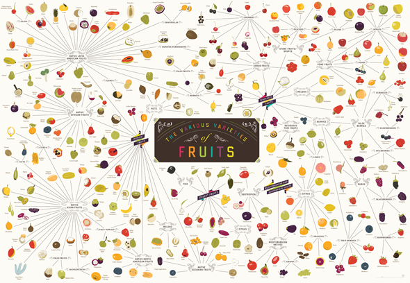 Various Varieties of Fruit