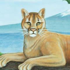 Mountain Lion - Note card