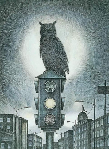 Night Owl - Hand Colored