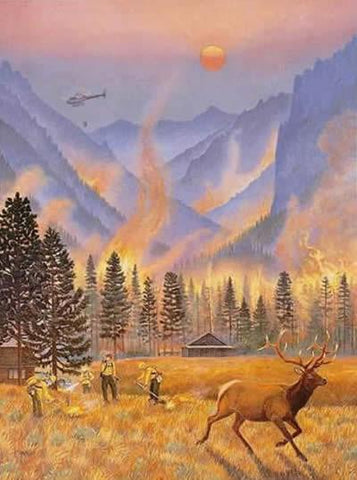 Northern Rockies Fires - Note card