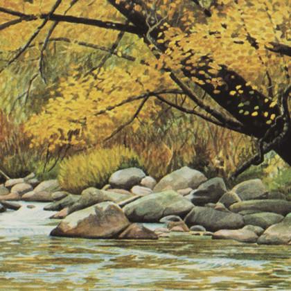 September on Rattlesnake Creek