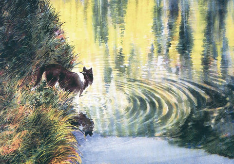 Tranquil Waters - Note card