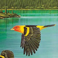 Western Tanagers - Note card