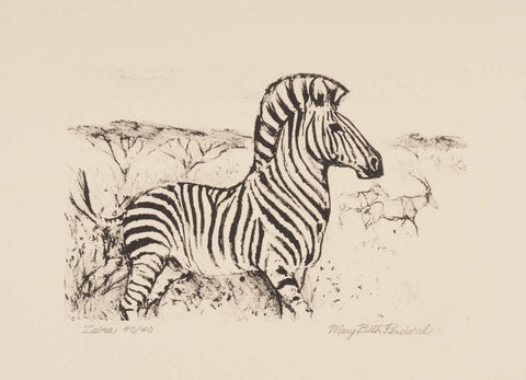 Zebra Run